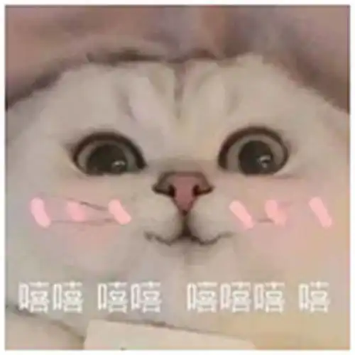 有没有必要买保险什么险种性价比最高