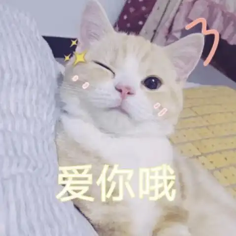 第76期喵表情自从铲屎的养了俩猫,家里每天上演甄嬛传...
