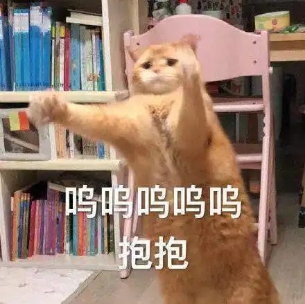 猫猫表情包第20期丨我是一个保安,只吃小熊饼干