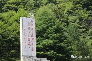 今日我们手拉手看鹞落坪山清水秀,来日你们来合肥看大千世界车水马龙