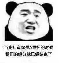 表情包你是老子的女人