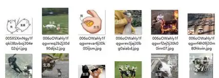 我和生活表情包我和生活表情图片高清版软件下载