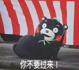 支付宝变陌陌,王思聪说的支付鸨会怎样
