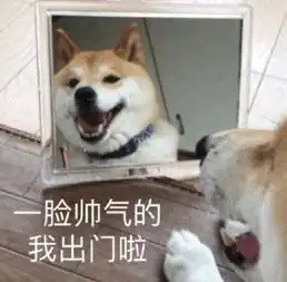 最新表情包17张一脸帅气的我出门啦