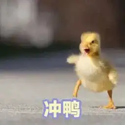 可爱的鸭鸭表情包合集你找哪位鸭