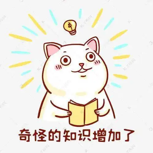 快取,阵列,程式,这些台湾的计算机术语,你知道几个冷知识