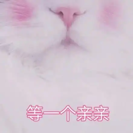表情包软萌猫咪撒娇卖萌系列软妹必备
