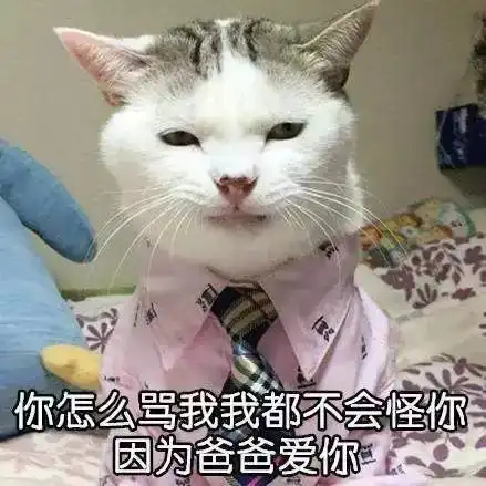 不给猫咪做绝育,你凭什么说爱它