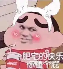蜡笔小新表情包肥宅的快乐你不懂