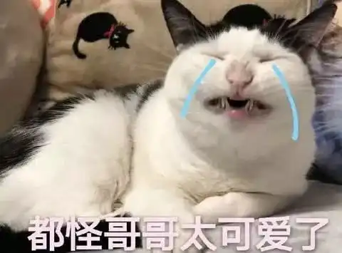 头像表情包