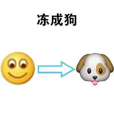 一组猝不及防降温微信表情包冷到穿秋裤的表情包