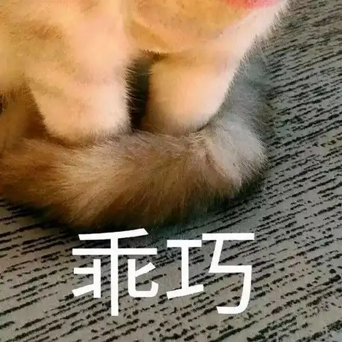 赚不多的钱,打很杂的工打一人群