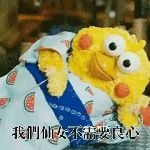 遇见个二货主人,猫也是会被逼疯
