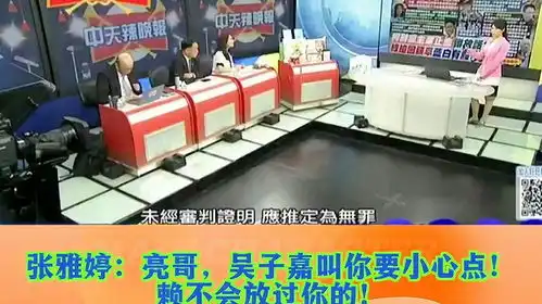 张雅婷亮哥,吴子嘉叫你要小心点赖清德不会放过你的