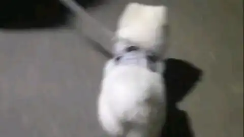 三步一回头两步一招手
