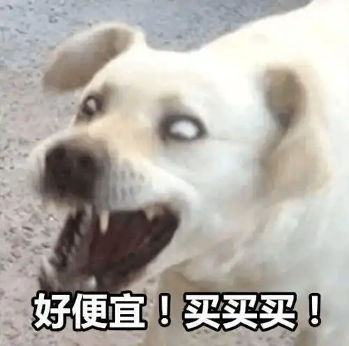从双十一看消费心理