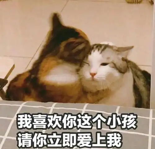 别看有些产品经理风风光光,背地里却这样发弹幕