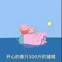 中国各地区国际学校烦恼图鉴