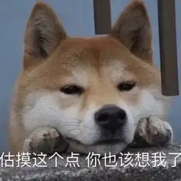 近期斗图表情包,我的快乐源泉