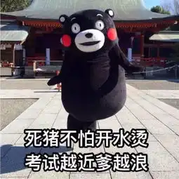 微信官方为你定制表情包福利,请上车