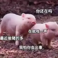 喊对象起床很宠的套路表情包小懒猪起床了,再不起床的话