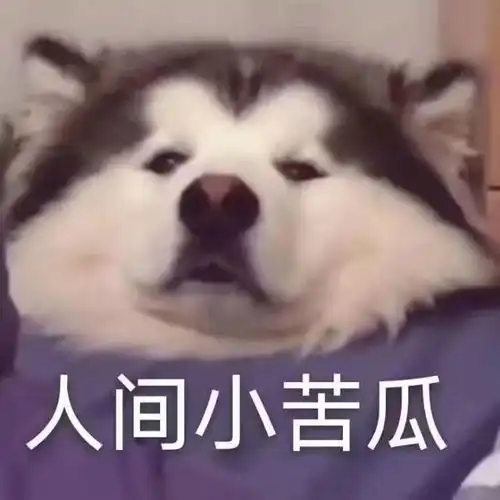 找室友武侯区机投桥武青南路武侯立交地铁站
