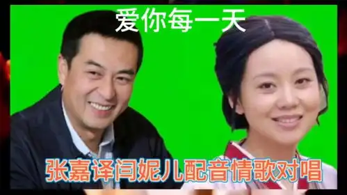 张嘉译闫妮表情太逗了,天天无时不刻都爱你,用真情演唱感人至深