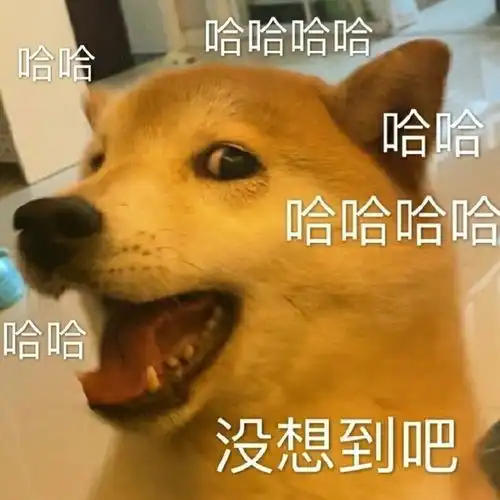 盘点网络上那些不带脏字的狠话,哈哈哈,读着好过瘾