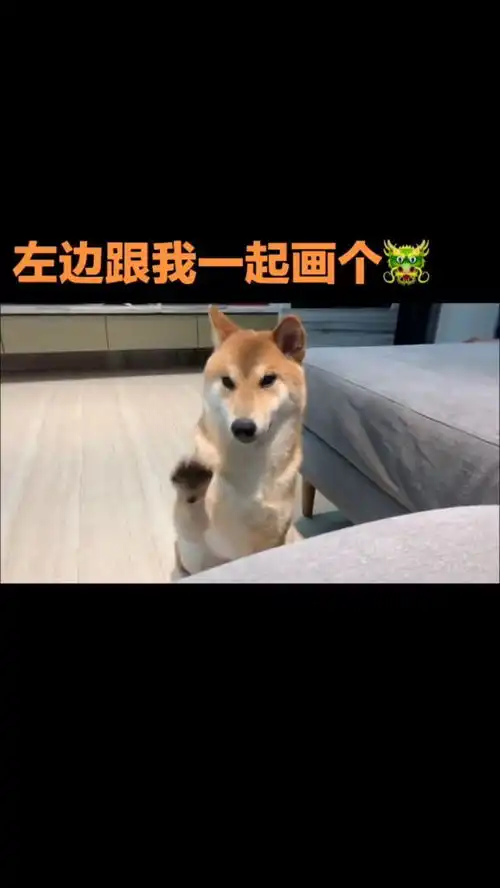 都说我昨天再在跳野狼disco,答应了,今天必须来一段的,各位哥哥姐姐看我跳的怎么样