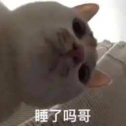 义乌商人提前预测冠军每日轻松一刻7月16日晚间版