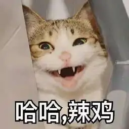 有哪些怼人怼到死的表情包都闪开,我包多我先来,你胖你先说