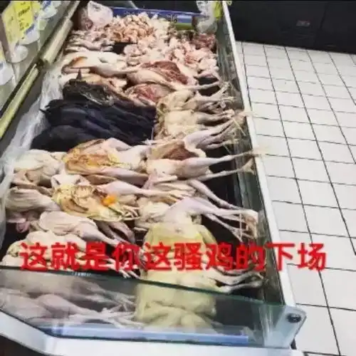 表情包11.24