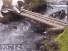 爆笑动态图很有哲理的一张图,跪拜了第1370期