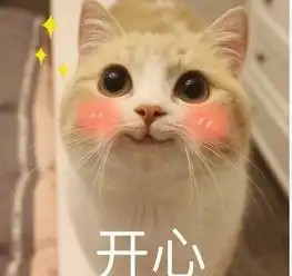 bobi小萌猫表情包高清完整版