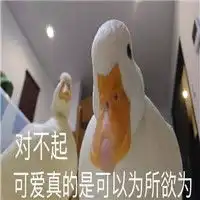 我看你就是在为难我鸭鸭表情包你说我是不是你的小可爱鸭表情包下载乐游网游戏下载