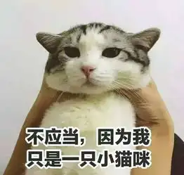 7月14日喵星人让古天乐不做型男做铲屎官
