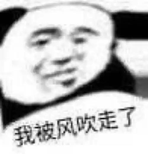 今日份表情包