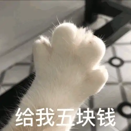 搞笑可爱表情包