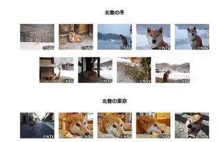 致我们最爱的表情包你永远活在我们的微信里