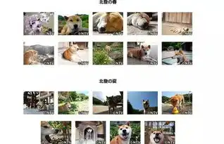 致我们最爱的表情包你永远活在我们的微信里