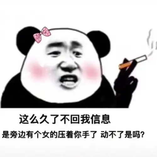 有没有一个万能表情包可以回复所有问题