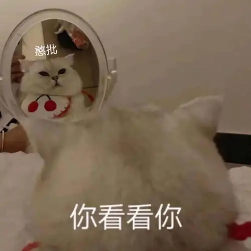 可爱仙女表情包亲亲这边建议你中意我一下