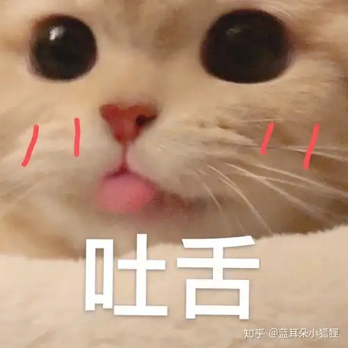 2020年失业是一种什么体验