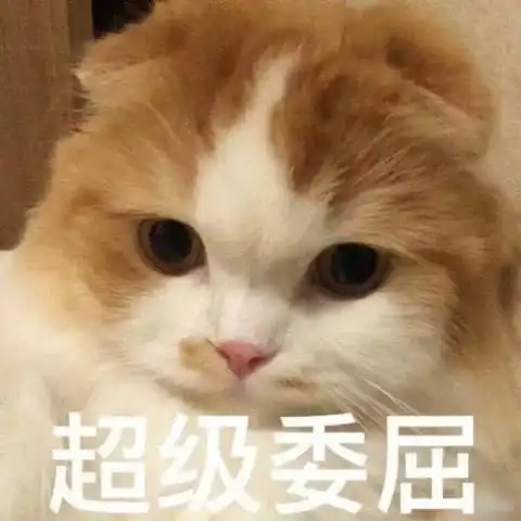 土猫不绝育,留着污染我家猫的血统吗