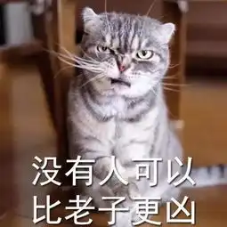 搜狐搞笑搜狐网
