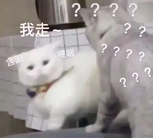快来看看这是不是你和你对象的日常猫猫表情包