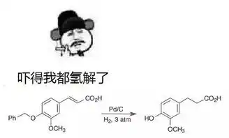 斗图大战装备库,史上最全化学表情包一站集合