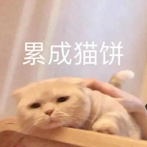 沙雕橘猫表情包,拿走拿走别客气