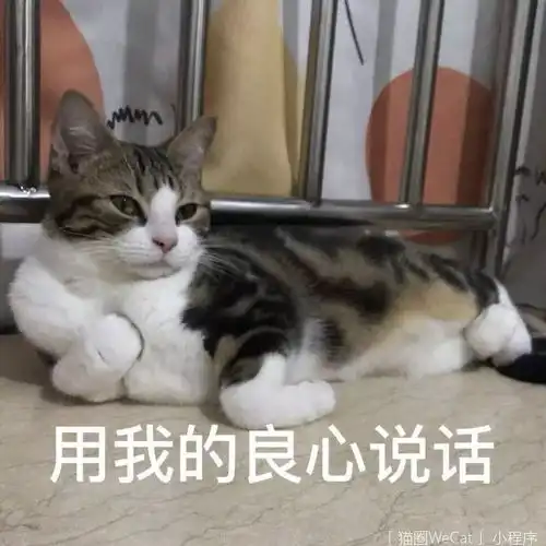 你用你家猫做过什么沙雕表情包猫圈话题