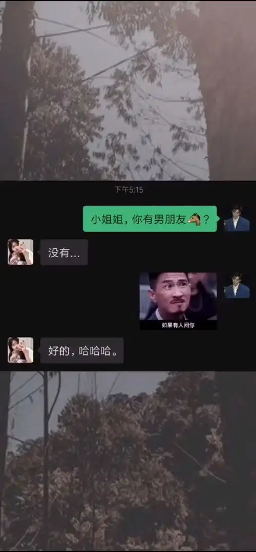 这个锅我背定了每日迷惑行为沙雕操作表情包小可爱已上线